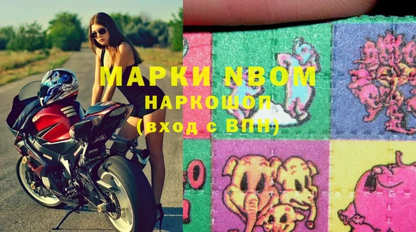 крисы Каменка