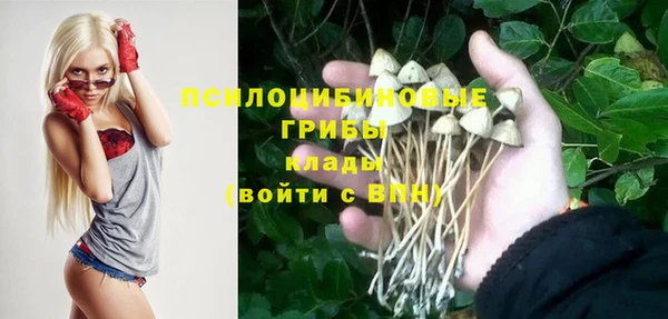 mdpv Володарск