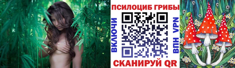 цены Плёс Галлюциногенные грибы ЛСД