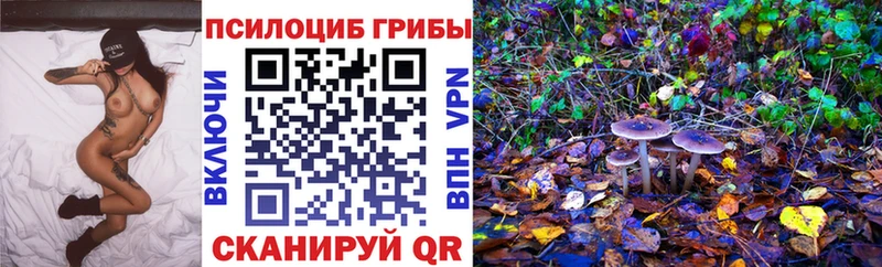 Галлюциногенные грибы Psilocybe Плёс